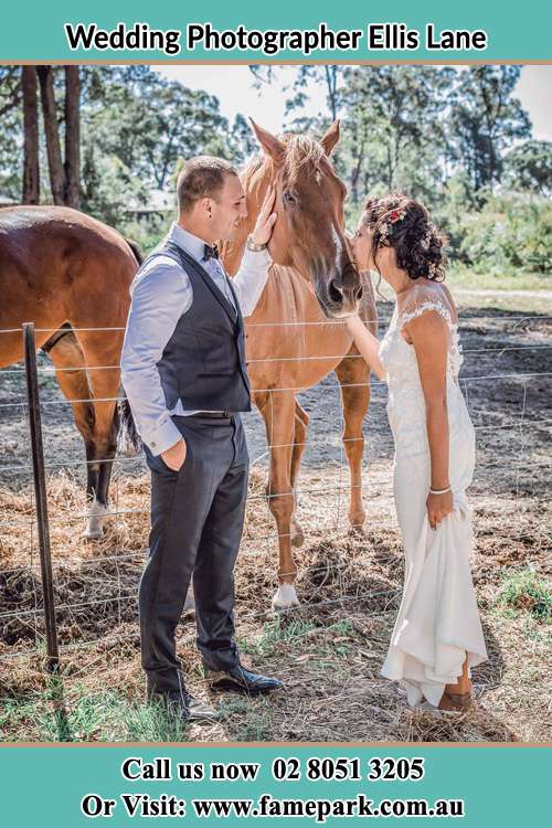 Photo of the Groom and the Bride caressing a horse Ellis Lane NSW 2570