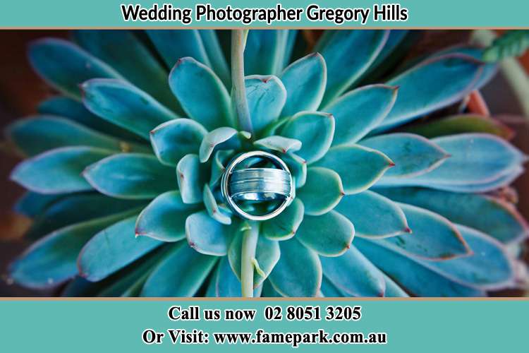 Photo of the wedding ring design at the top of the plant Gregory Hills NSW 2557